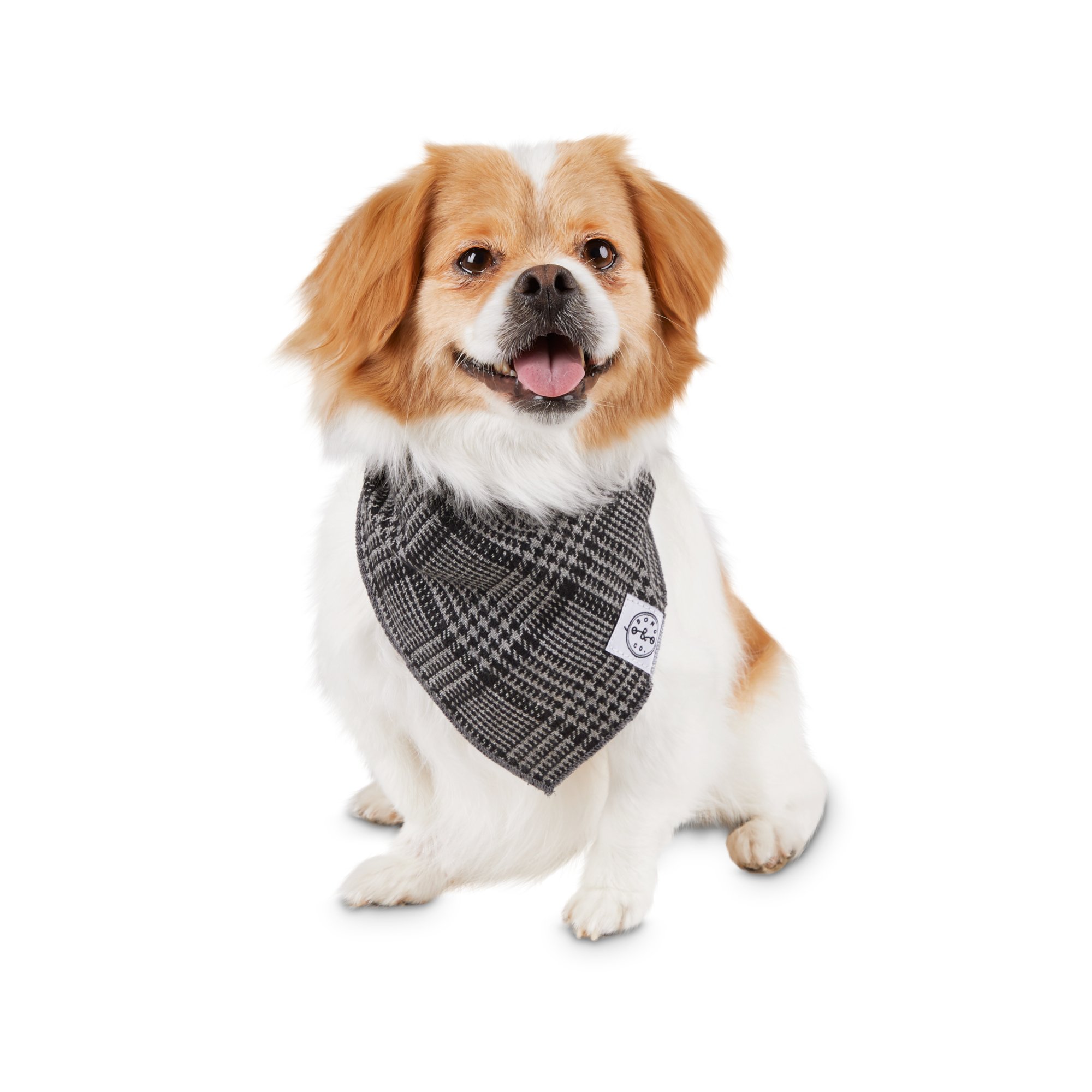 petco dog scarf