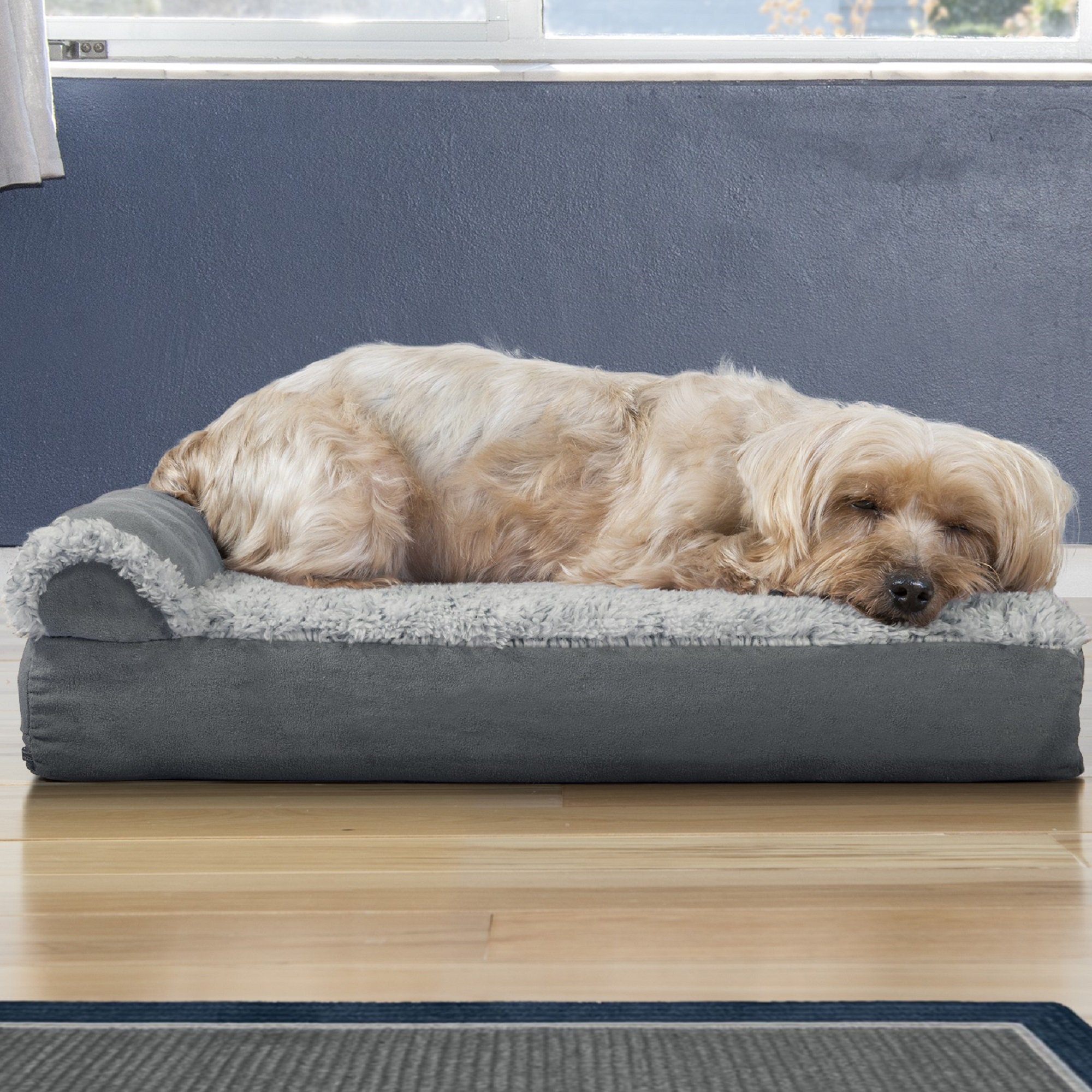 dog chaise lounge