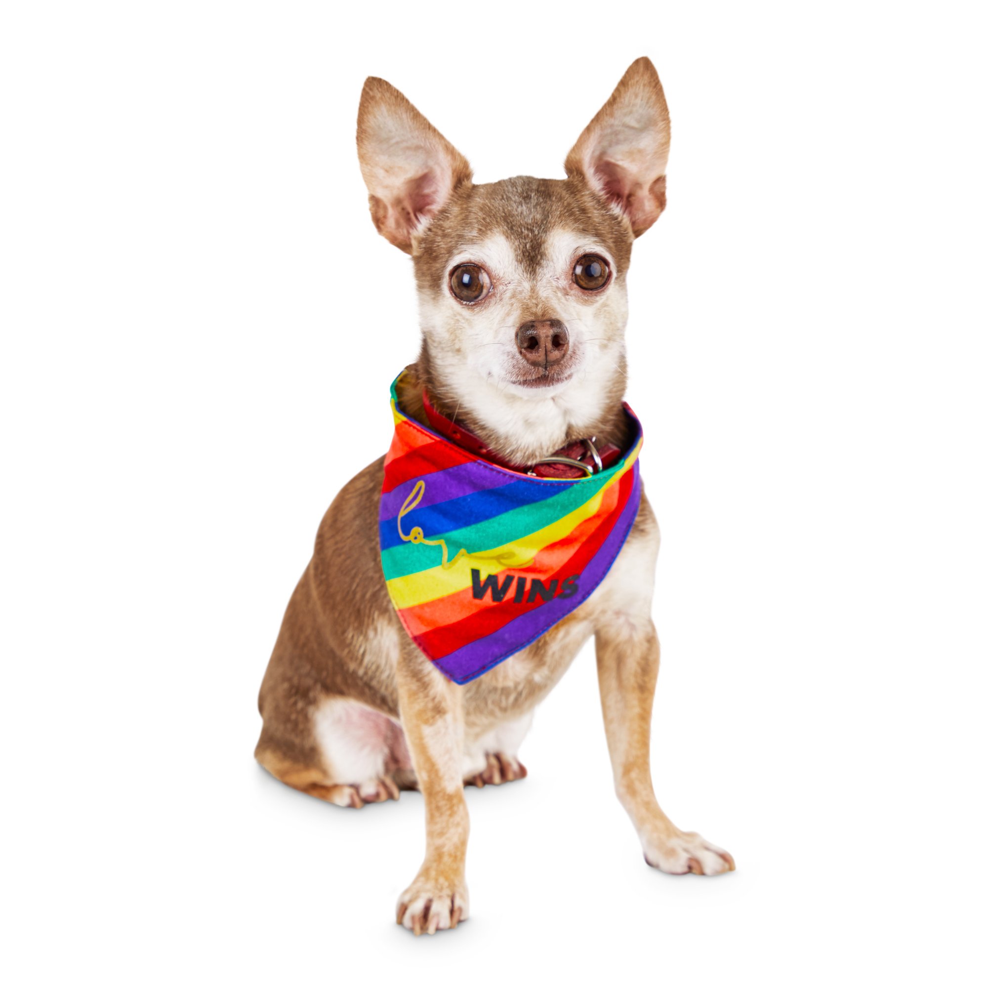 Bond Co Pride Rainbow Dog Bandana X Small Small Petco