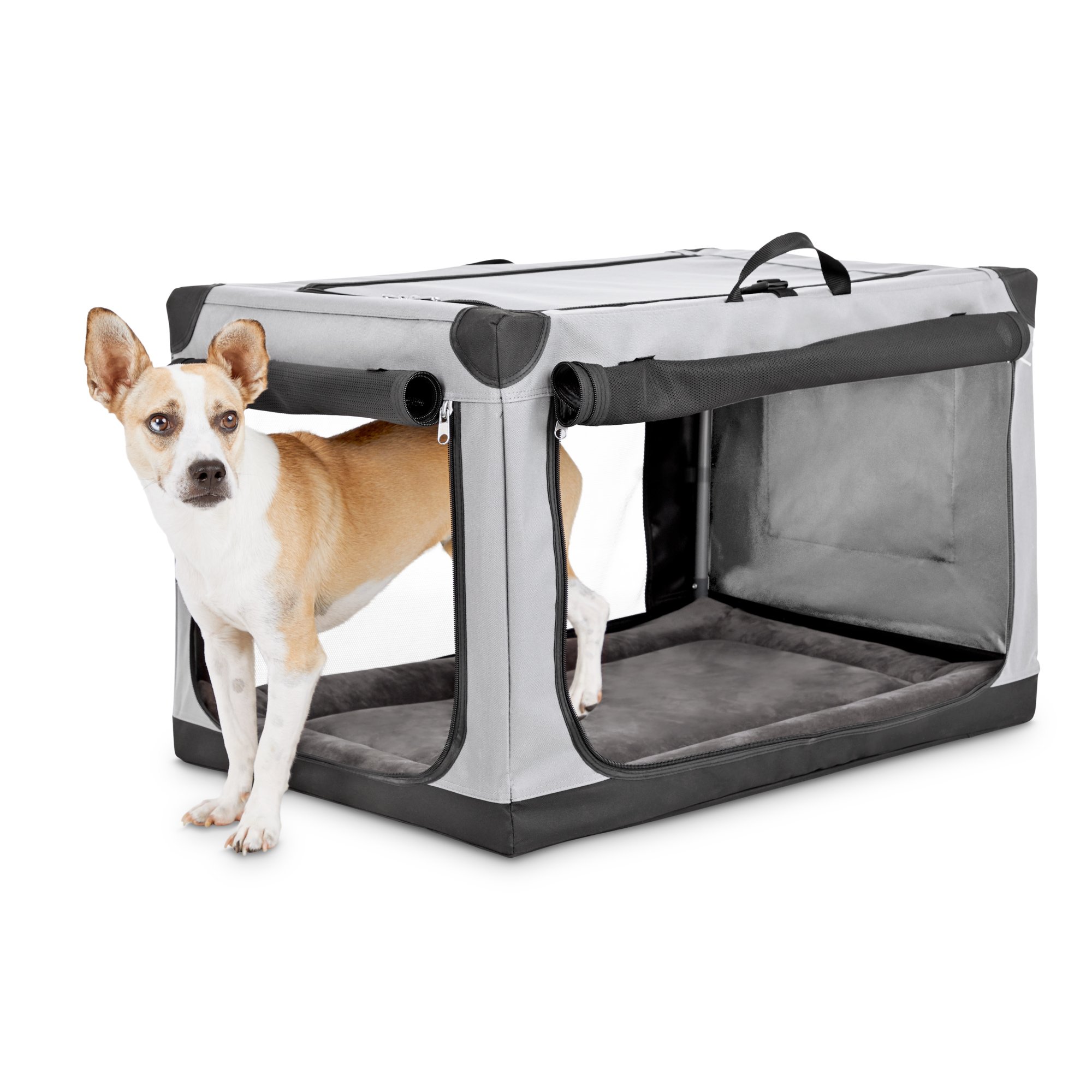 SportPet Designs Travel Pop up Crate Red for Dogs Petco