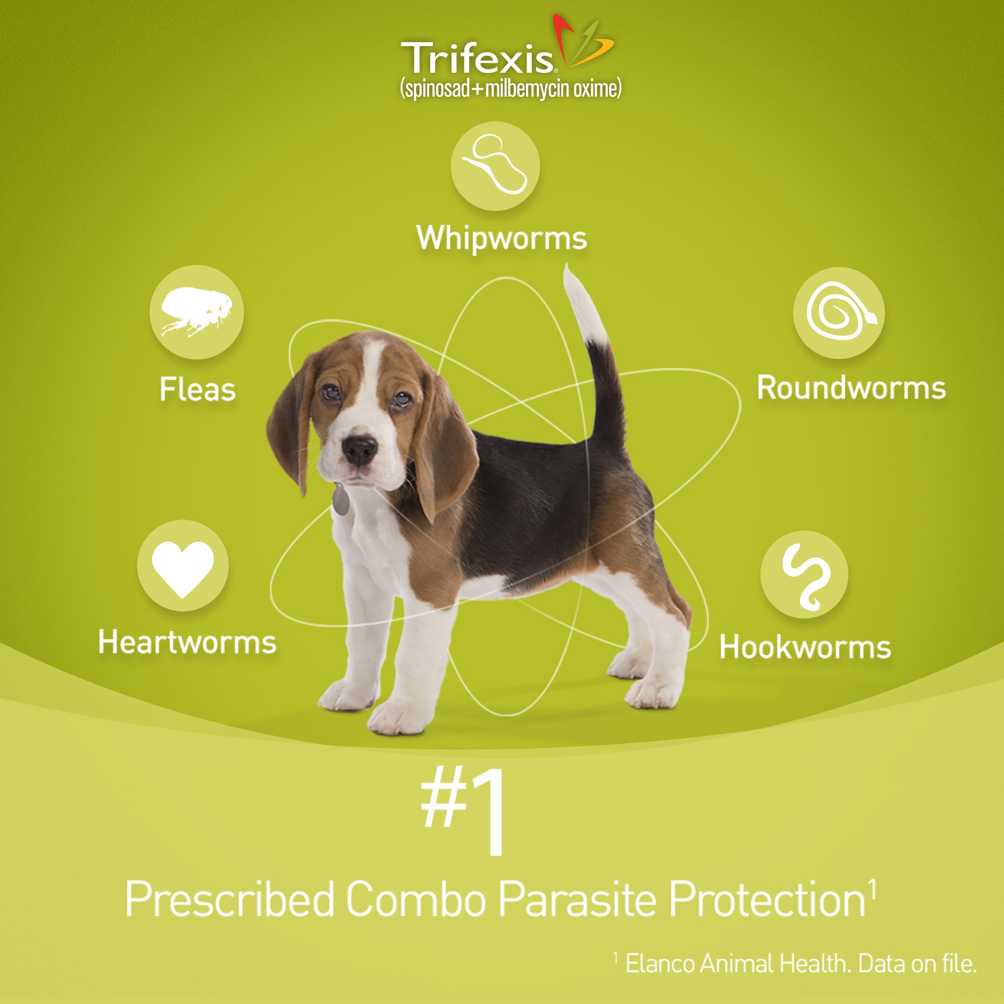 Trifexis Chewable Tablets For Dogs 601 To 120 Lbs 6 Pack