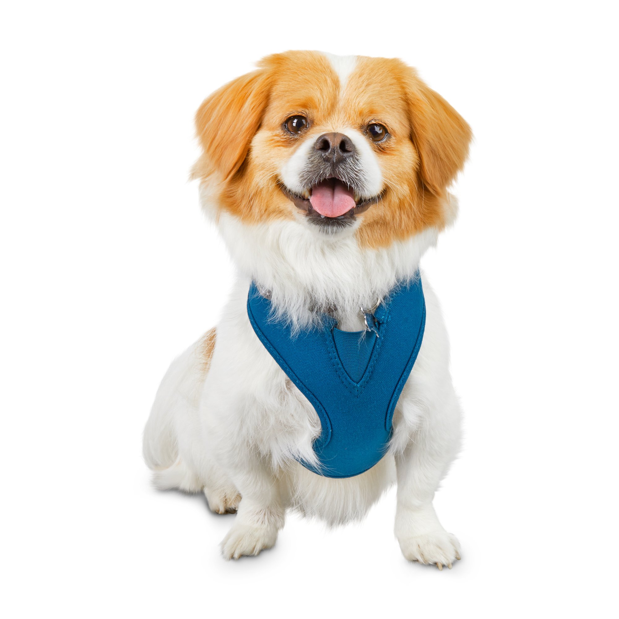 petco dog harness