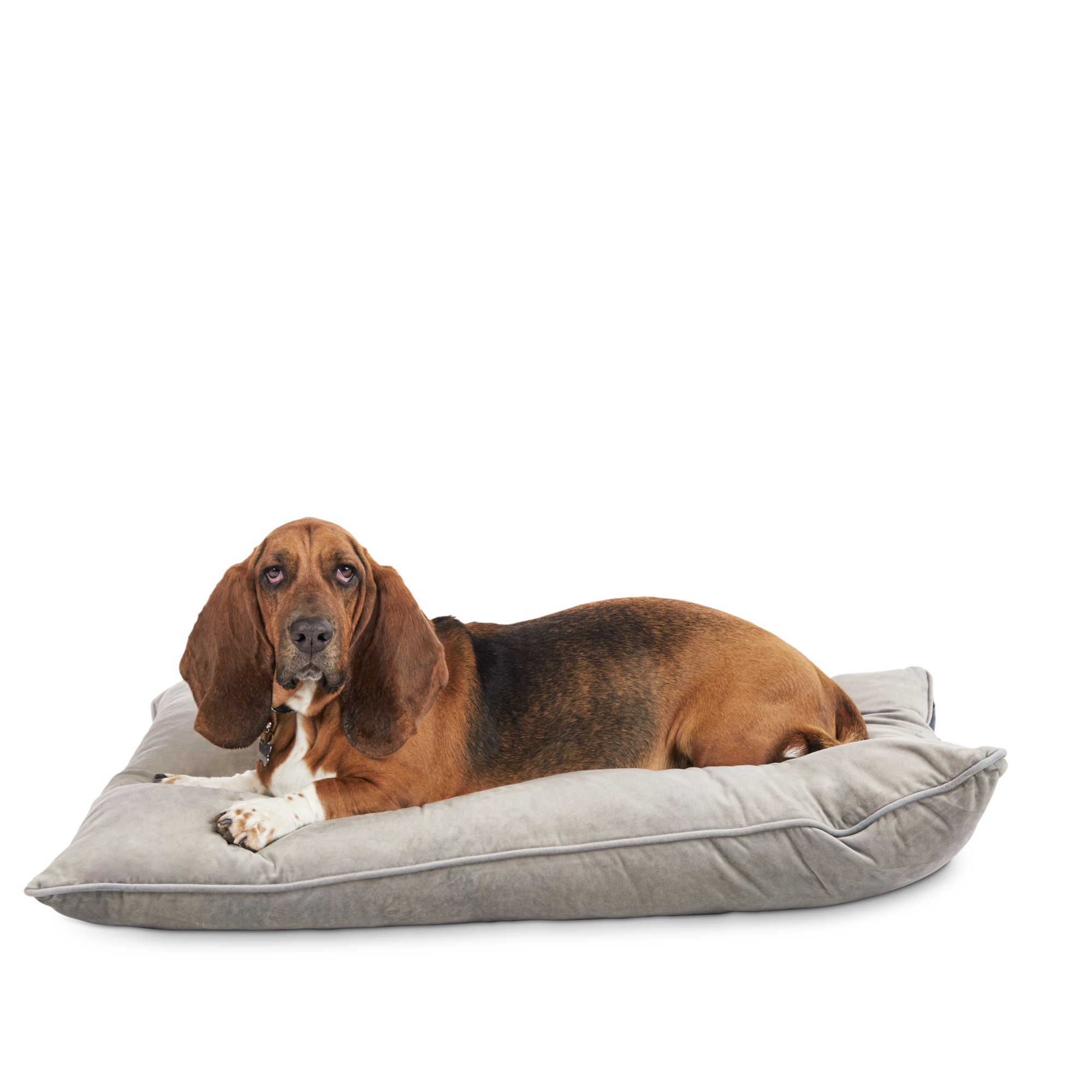 you & me dog bed