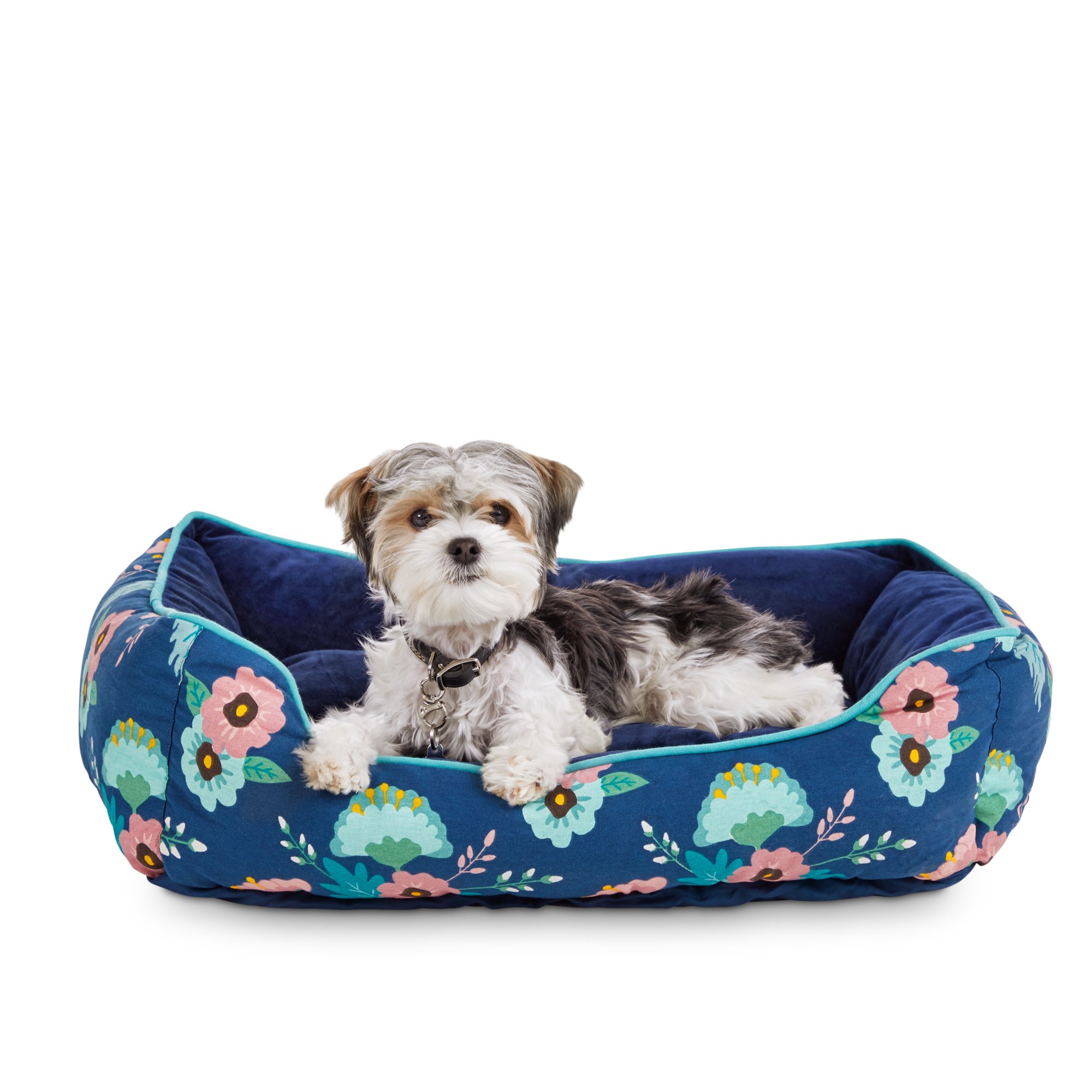 //petco.scene7.com/is/image/PETCO/3023603-center-4