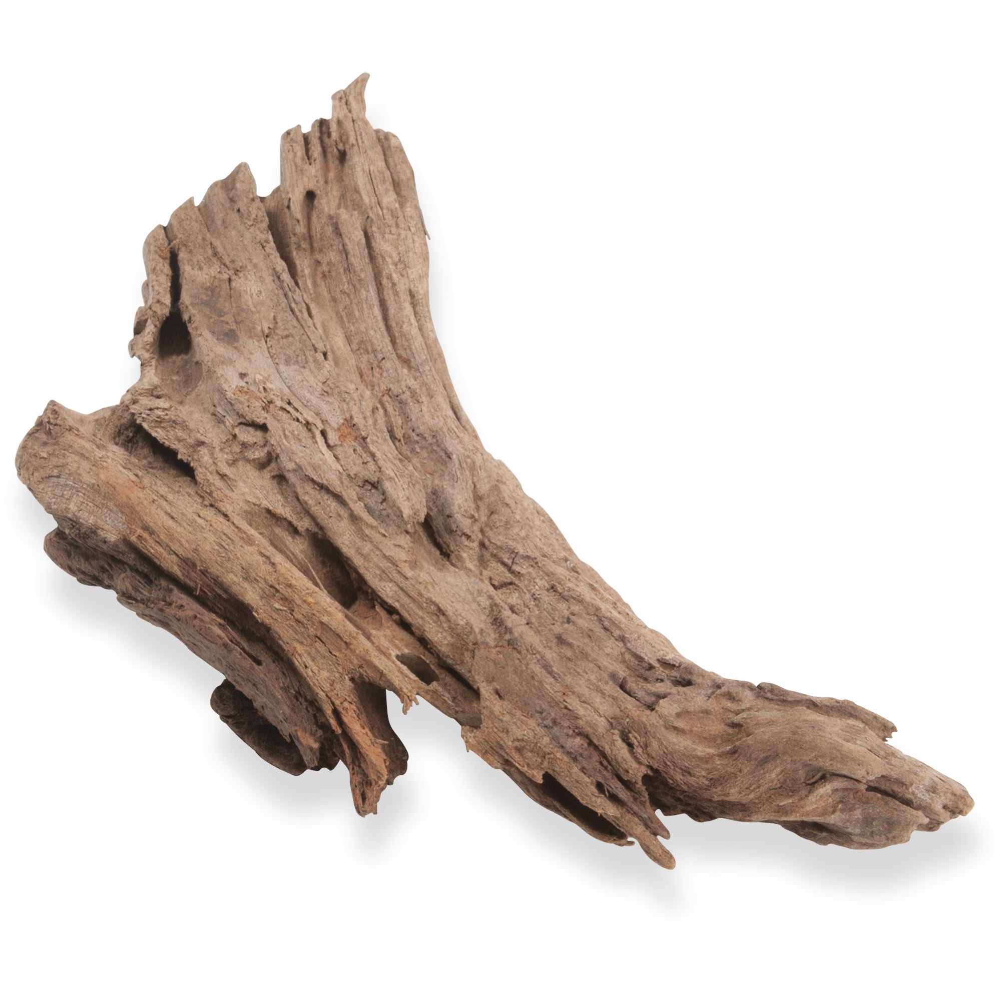 Zoo Med Aquatic Natural Mopani Wood Petco