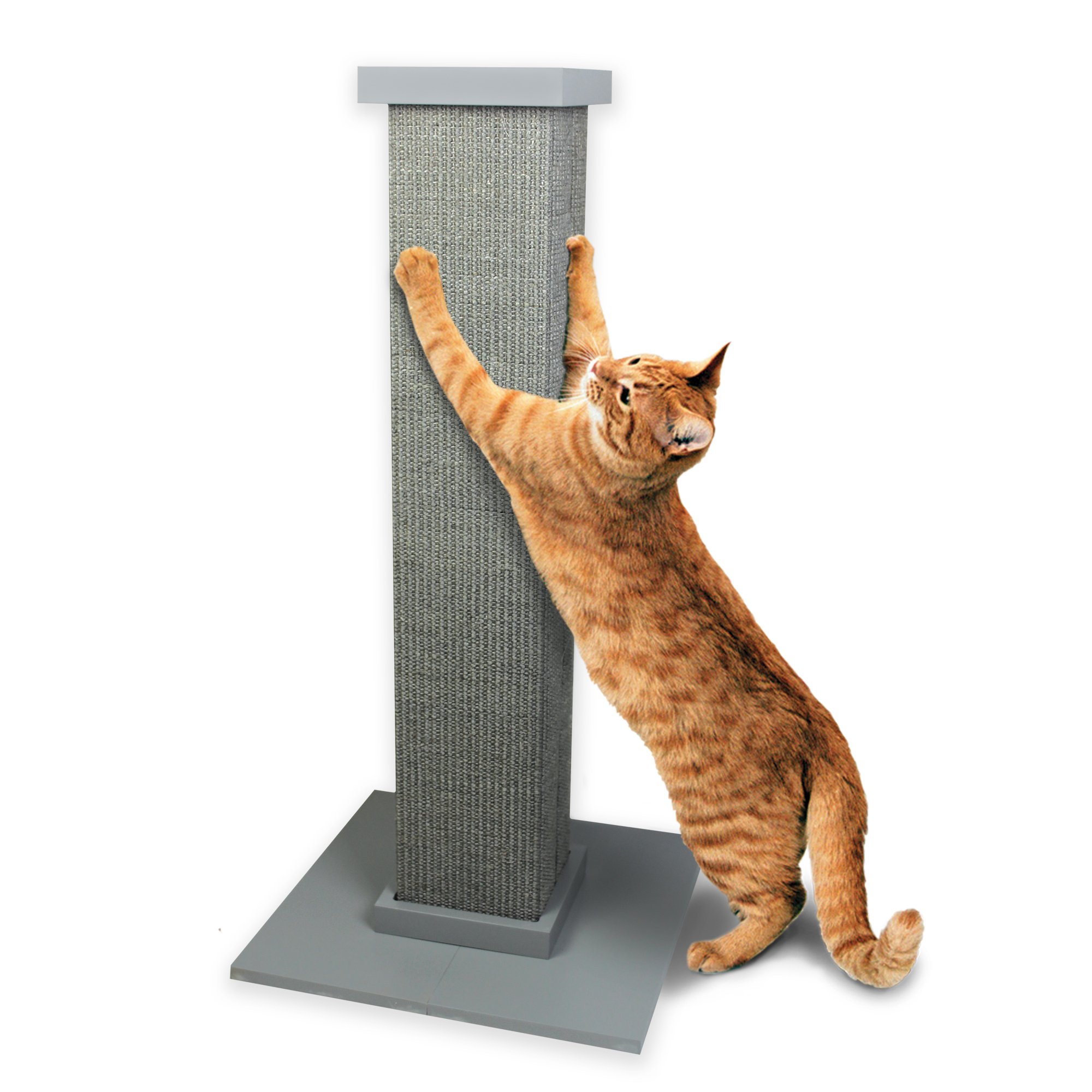 Pioneer Pet Ultimate Scratching Post Grey For Cats, 32" H, 15 LBS