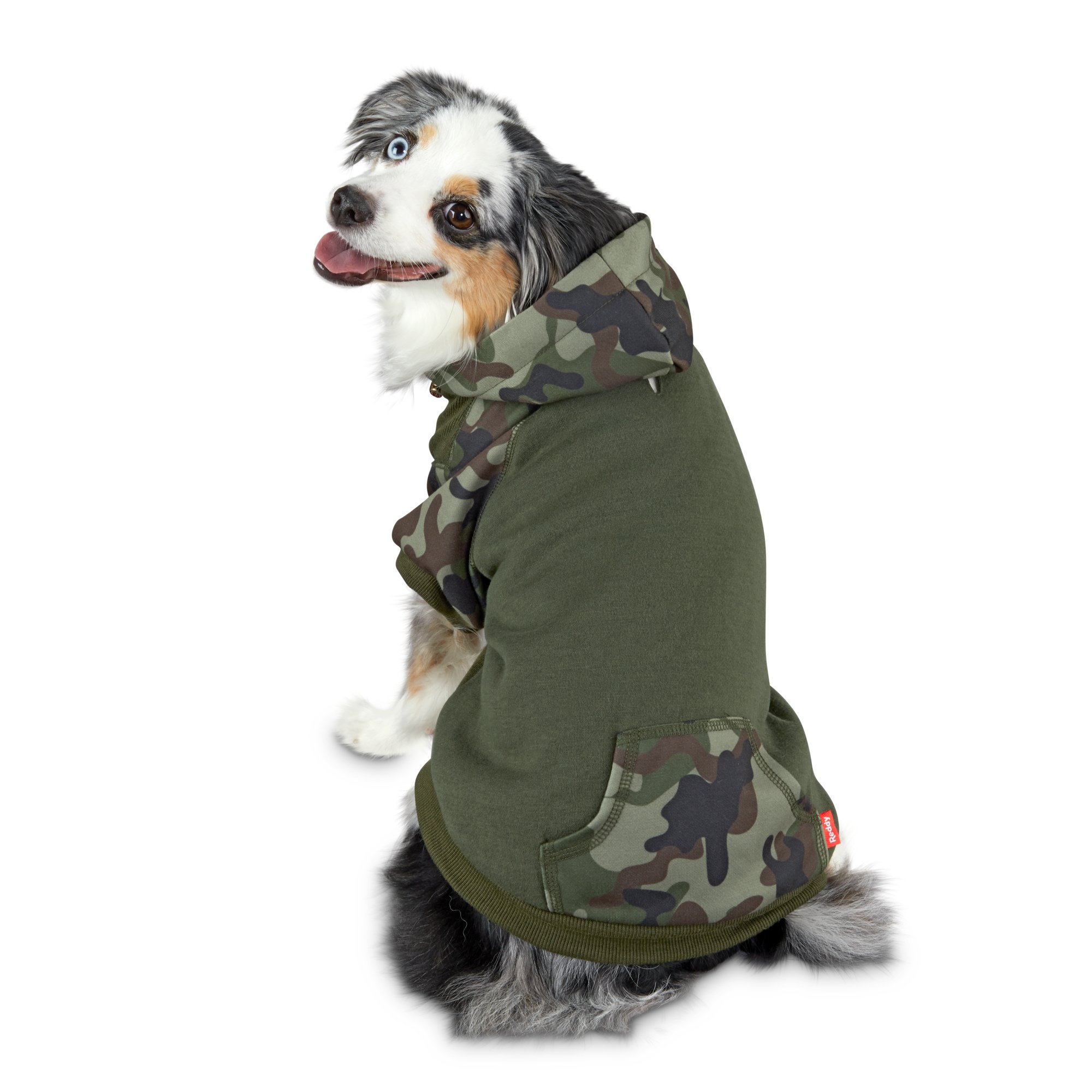 color block dog hoodie