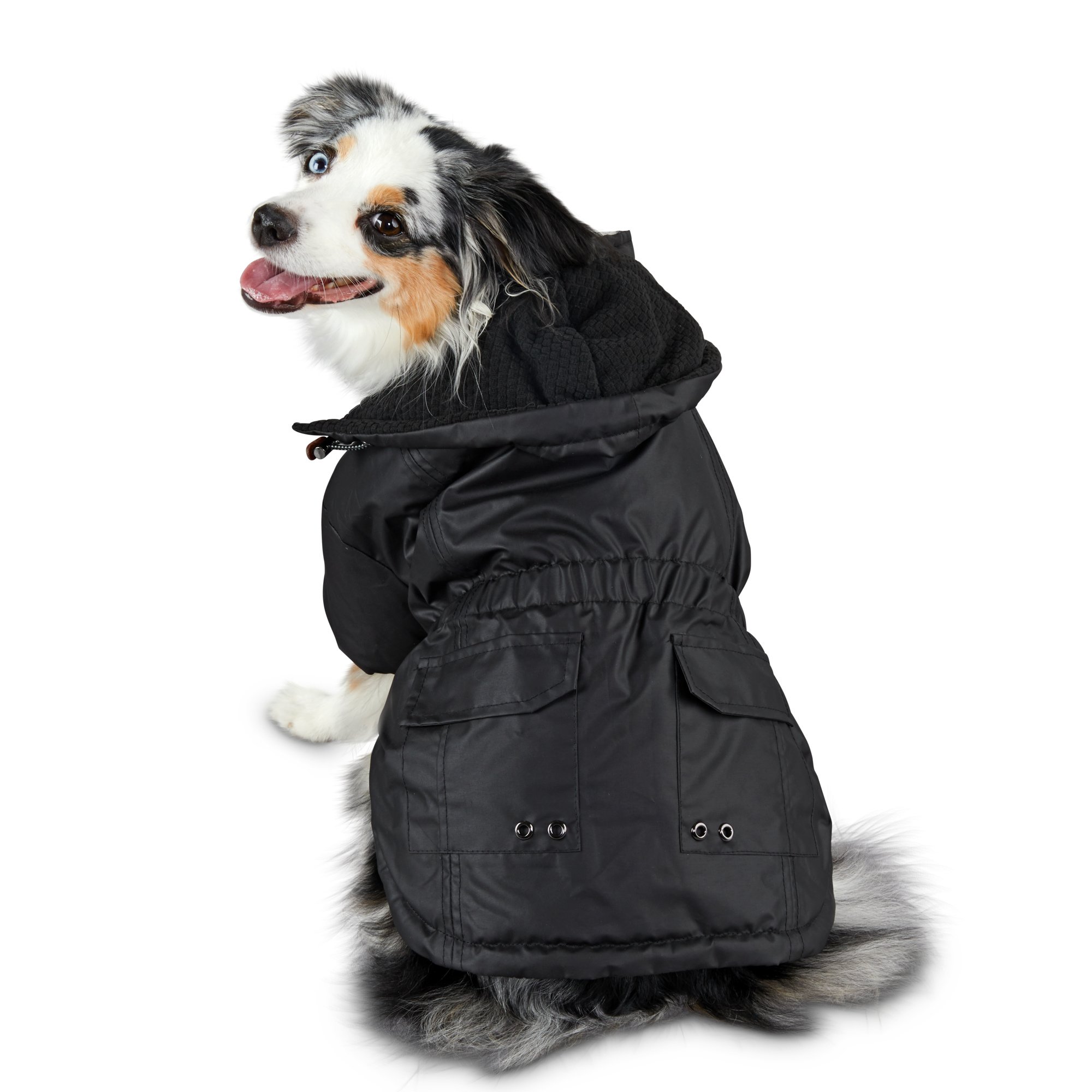 petco coats