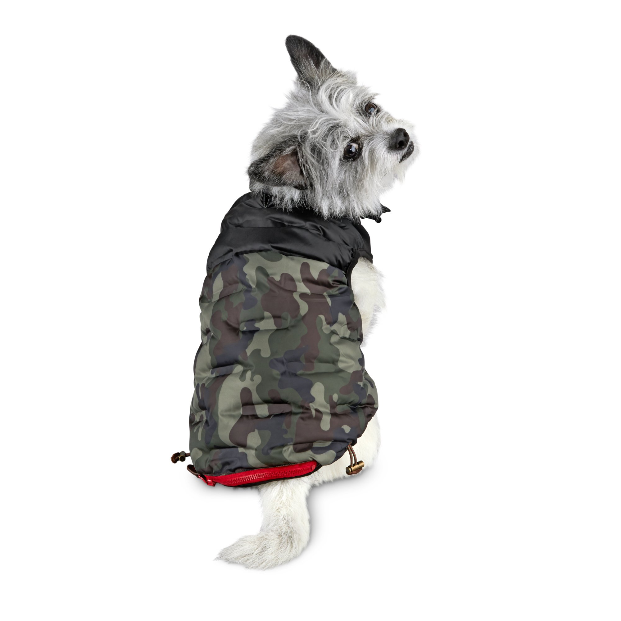dog camouflage jacket