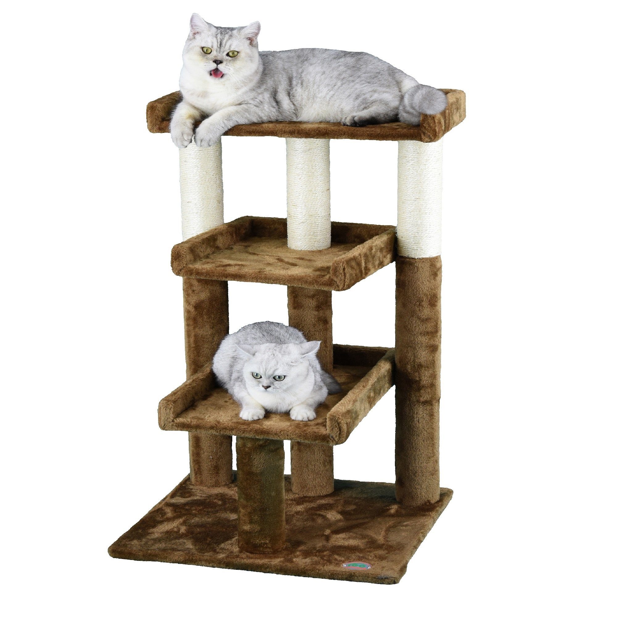 Cat Furniture: Cat Trees, Towers & Scratching Posts | Petco