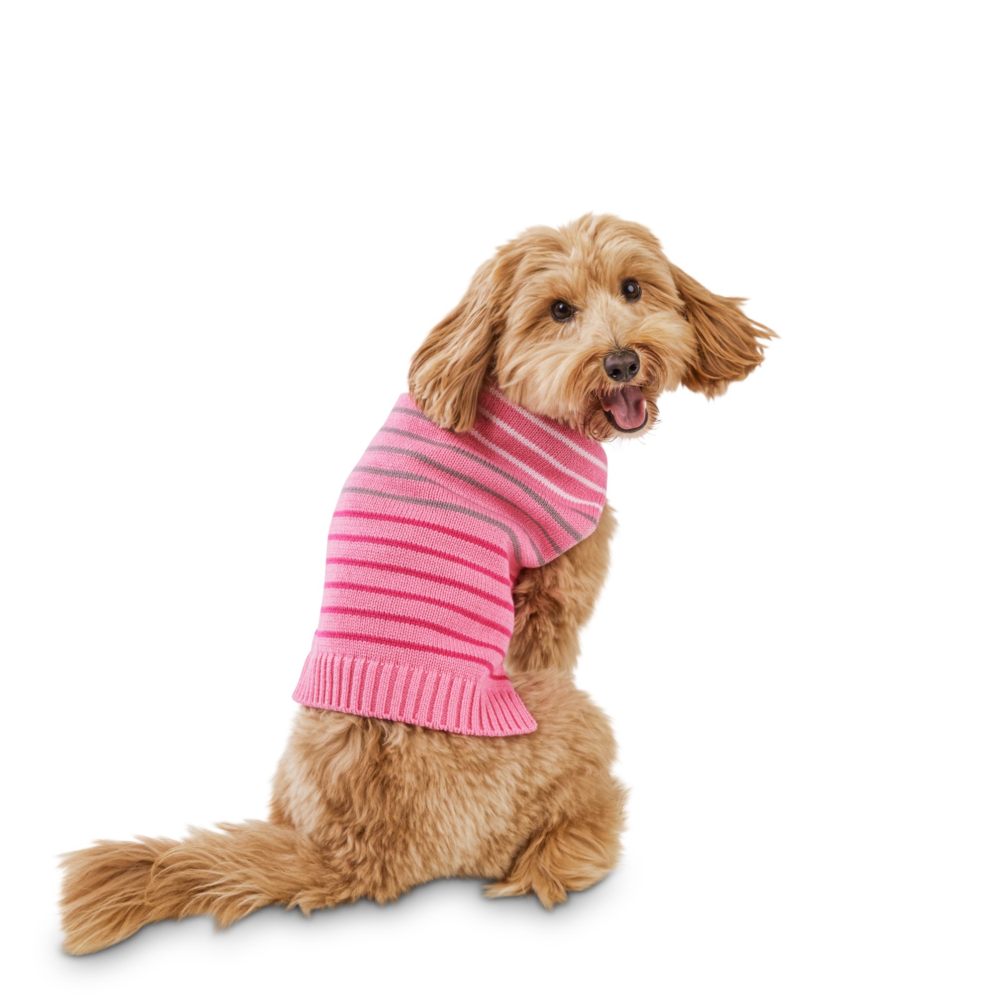 show me the closest petco