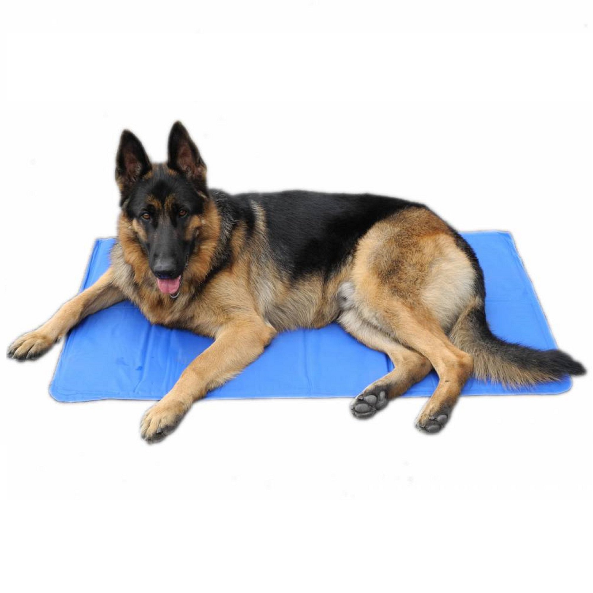 Go Pet Club Pet Cooling Gel Mat 19 6 L X 15 7 W X 0 25 H Petco