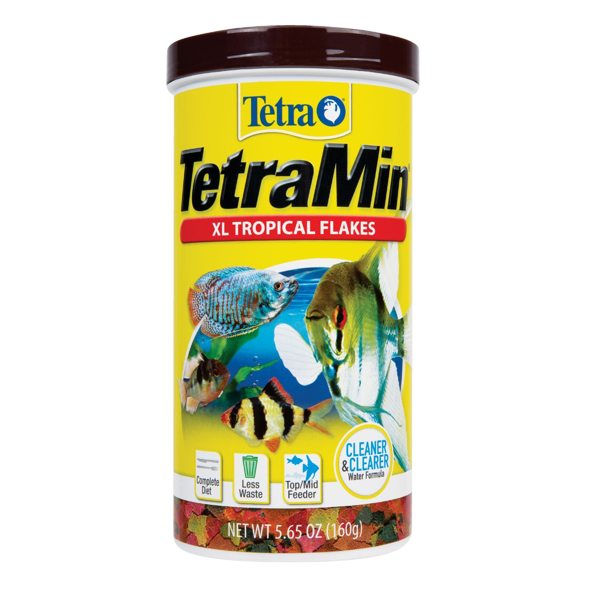 Tetramin Large Tropical Flakes Petco