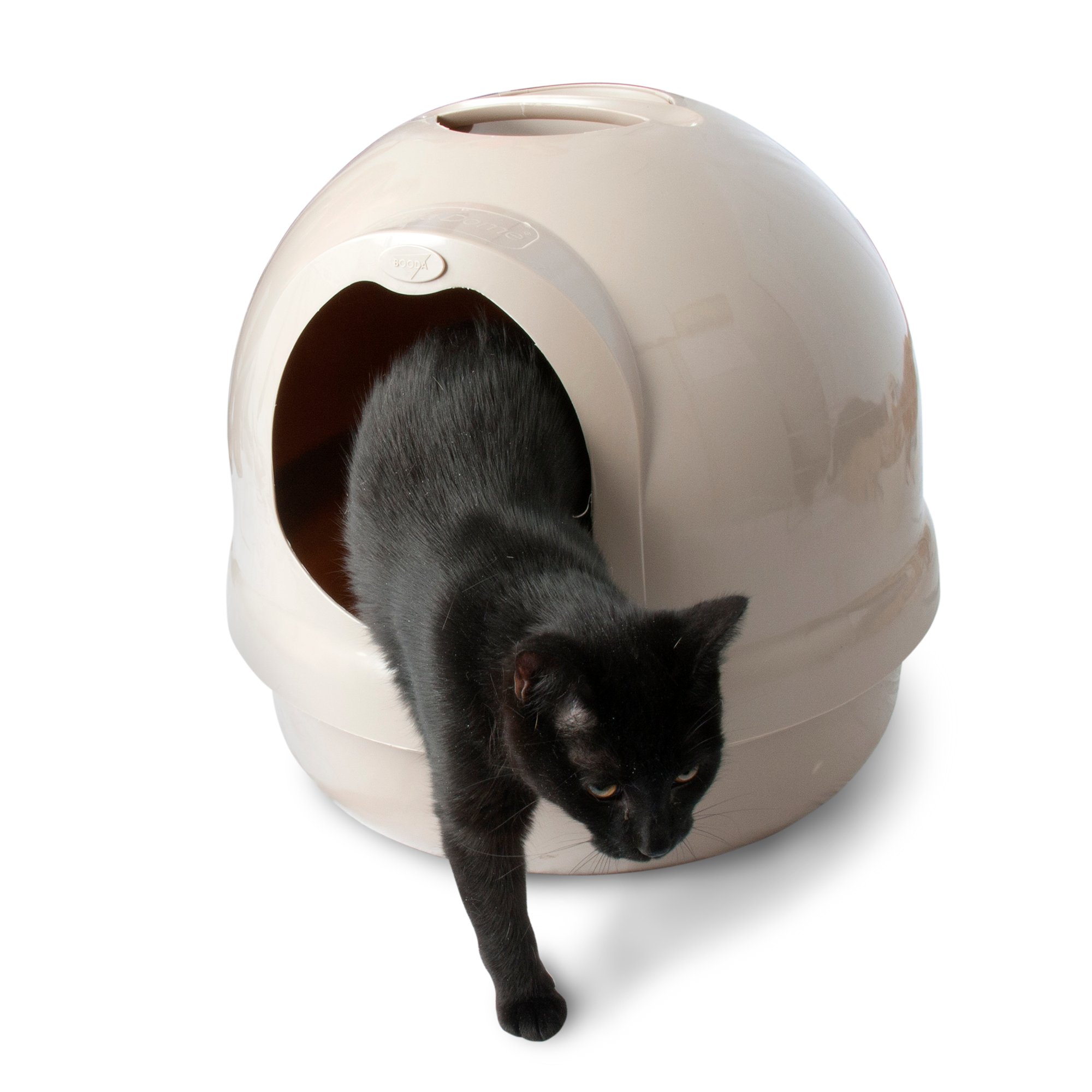 domed cat litter box