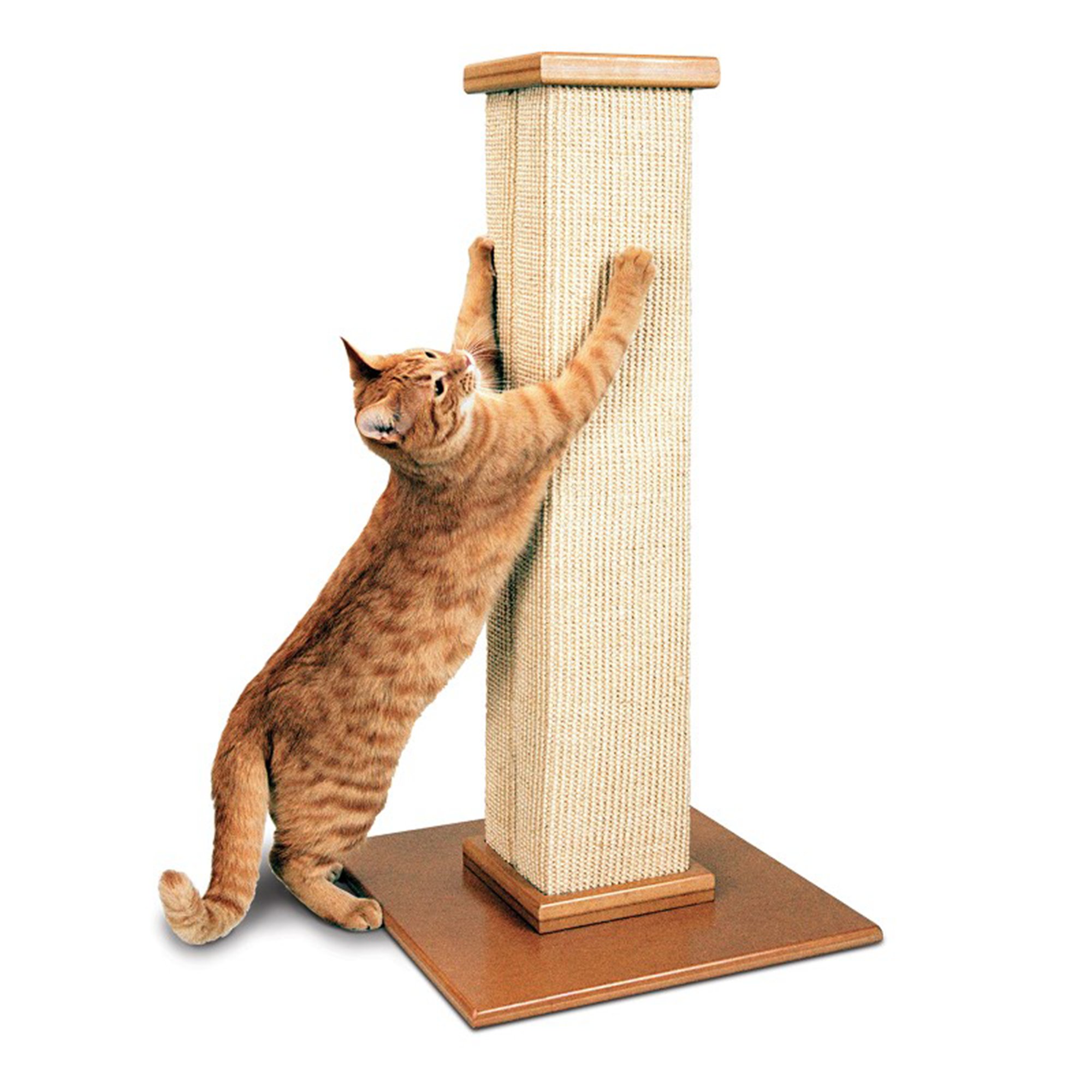 petco cat scratcher