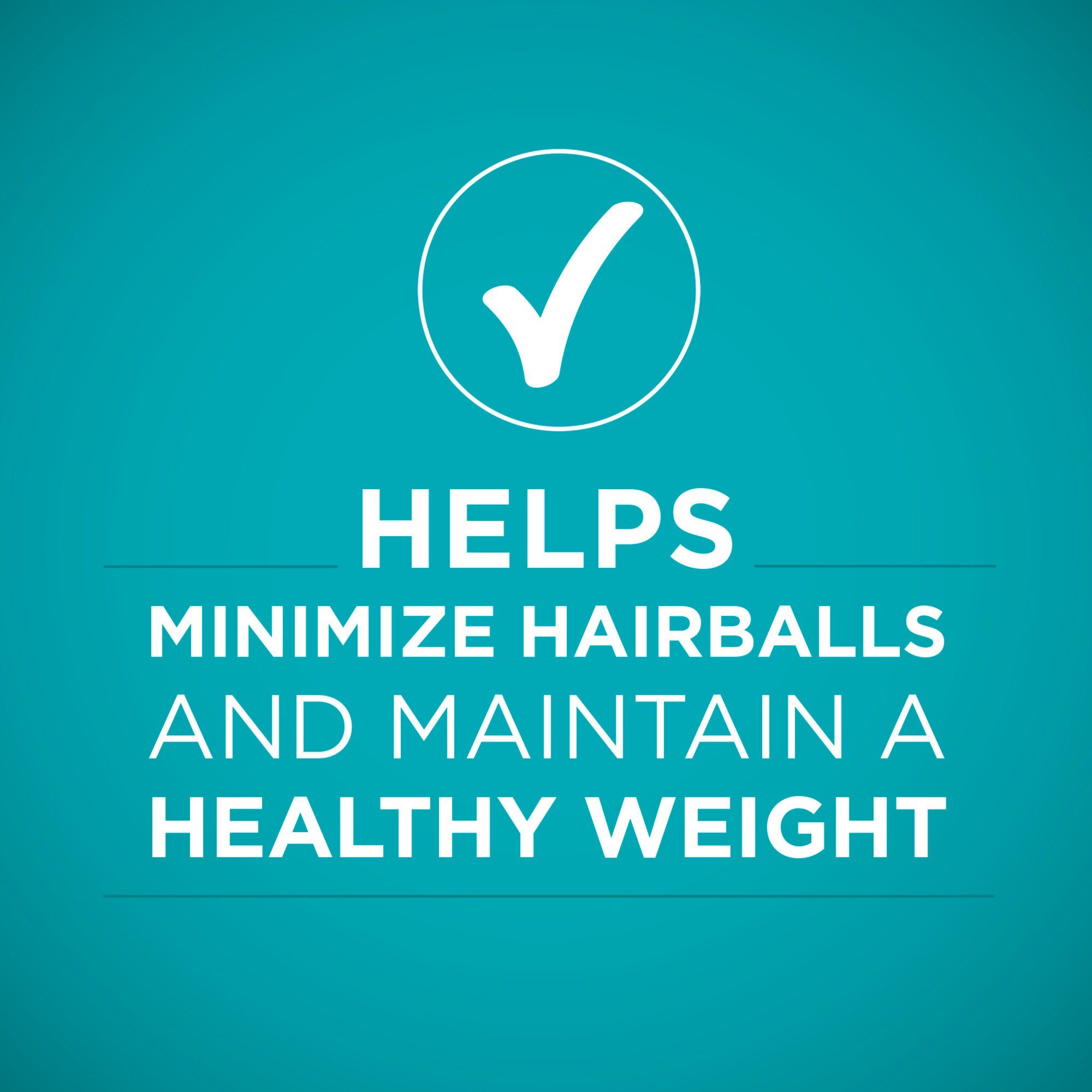 purina indoor advantage cat food