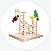 Pet Bird & Chicken Supplies | Bird Store | Petco